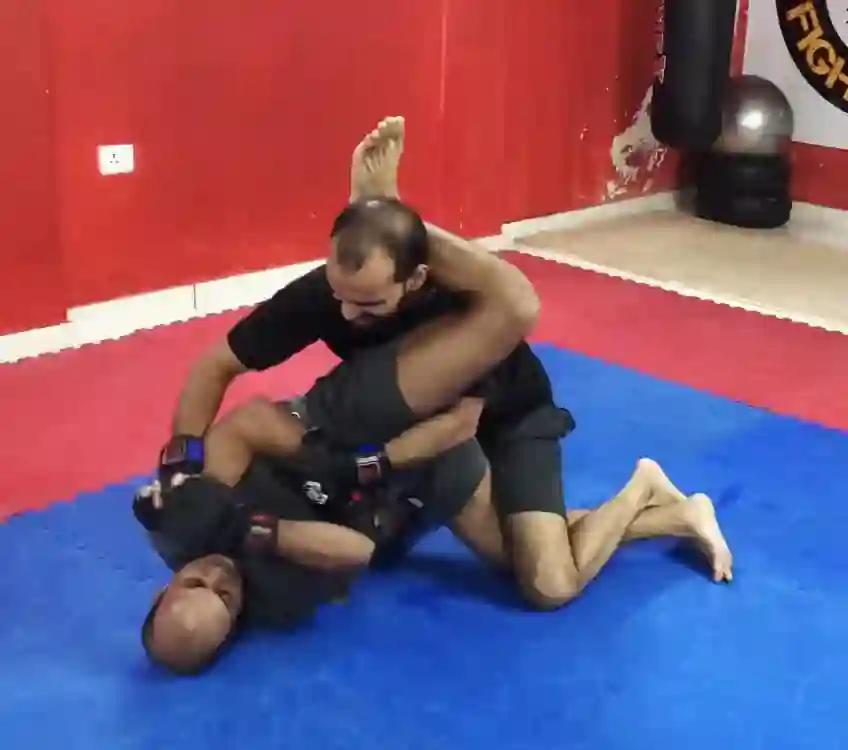 Mixed Martial Arts (MMA)